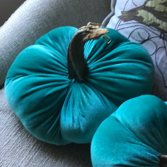 Selling Set of two Velvet pumpkins with real stems - Picture 3 of 4